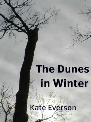 cover image of The Dunes in Winter